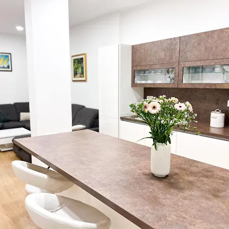 Apartamento Vic *